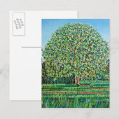Bow Tree Spring Briefkaart (Voorkant / Achterkant)