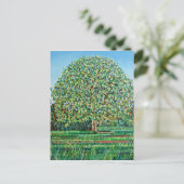 Bow Tree Spring Briefkaart (Staand voorkant)
