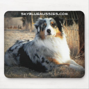 Bowdie - Sky Blue Aussie Muismat