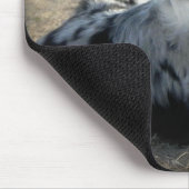 Bowdie - tapis de souris d'Australien de bleu de (Coin)