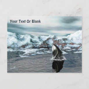 Bowiad Whale Briefkaart
