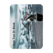 Bowiad Whale Magneet (Verticaal)