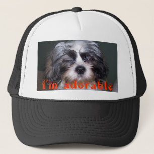 Bowie le Shih brouillé Tzu je suis casquette de