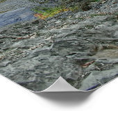 BOWL & PITCHER BRIDGE - SPOKANE WASHINGTON POSTER (Hoek)