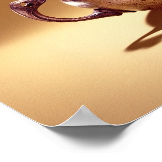 Bowl, uit Keshcarrigan, County Leitrim Poster (Hoek)