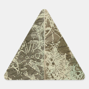 Bowles' Selenography of a Map of the Moon - 1780 Driehoek Sticker