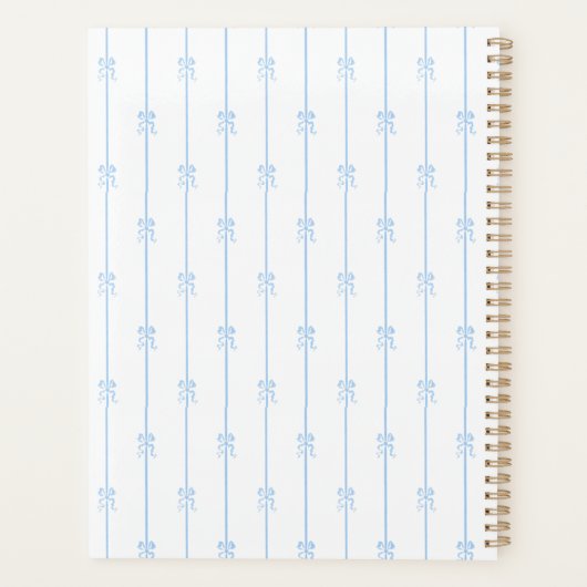 Bows et bandes bleues (Dos)