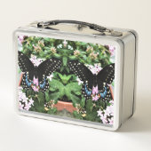 Box Boîte à lunch - Black Swallowtail oriental (Dos)