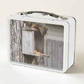 Box Boîte à lunch d'écureuil (Dos)