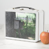 Box Boîte à lunch d'écureuil (En situation)