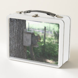 Box Boîte à lunch d'écureuil