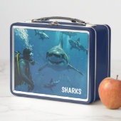 Box Boîte à lunch en métal requins (En situation)