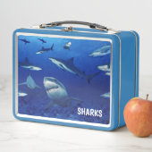 Box Boîte à lunch en métal requins (En situation)