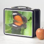 Box Boîte à lunch pour papillon tropical (En situation)
