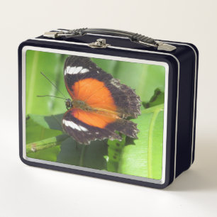 Box Boîte à lunch pour papillon tropical