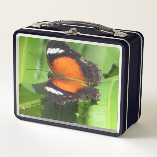 Box Boîte à lunch pour papillon tropical (Devant)