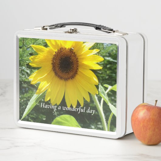 Box Boîte à lunch pour petites filles (En situation)