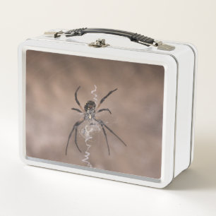 Box Boîte à lunch Spider
