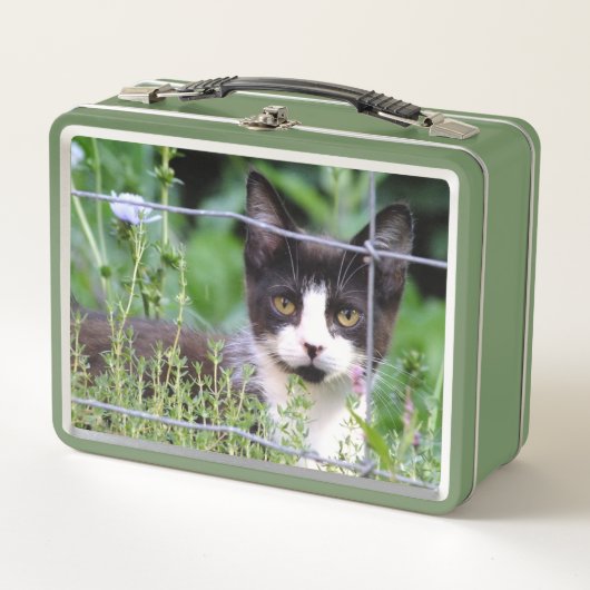 Box Boîte à lunch Tuxedo Kitten (Devant)