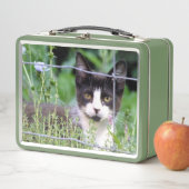 Box Boîte à lunch Tuxedo Kitten (En situation)