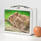 Box Capybara Trio Boîte à lunch métallique (En situation)