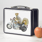 Box Écureuil sur boîte à lunch pour moto (En situation)