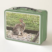 Box Lapin sauvage près du Jardin, boîtes à lunch (Dos)