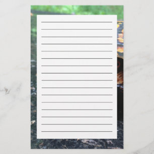 Box Turtle Briefpapier