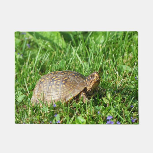 Box Turtle Deurmat (Voorkant)