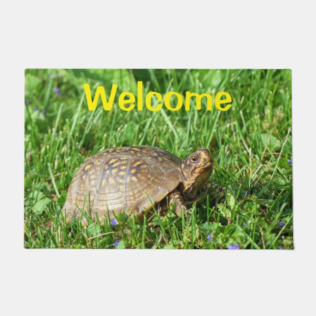Box Turtle Doormat Deurmat (Voorkant)