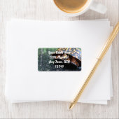 Box Turtle Etiket (Insitu)