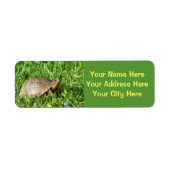 Box Turtle Etiket (Voorkant)
