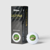 Box Turtle Golfballen (Verpakking)