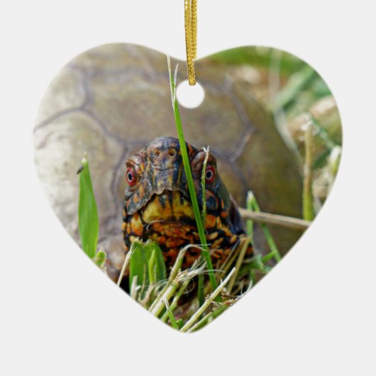 Box Turtle Keramisch Ornament (Voorkant)