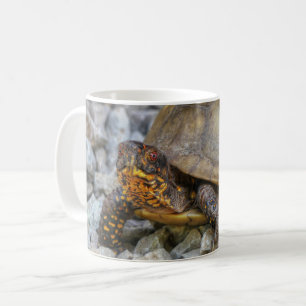 Box Turtle Koffiemok