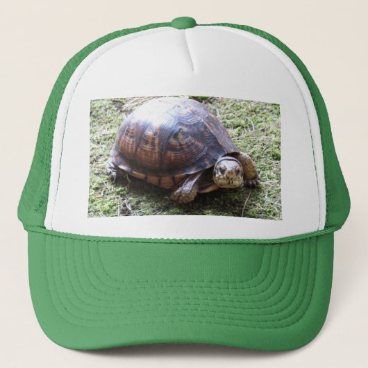 Box Turtle - Mossy Path Trucker Pet (Voorkant)