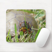 Box Turtle Muismat (Met muis)