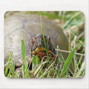 Box Turtle Muismat