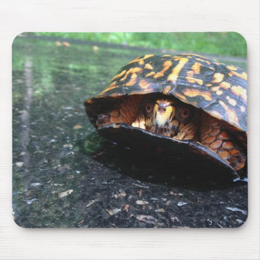 Box Turtle Muismat (Voorkant)