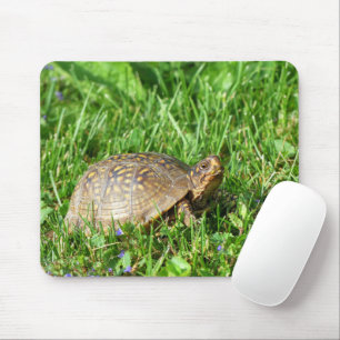 Box Turtle Muismat