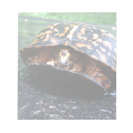 Box Turtle Notitieblok (Voorkant)