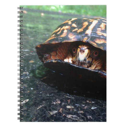 Box Turtle Notitieboek (Voorkant)