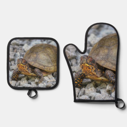 Box Turtle Ovenwant & Pannenlap Set (Voorkant)