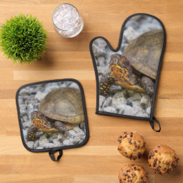 Box Turtle Ovenwant & Pannenlap Set