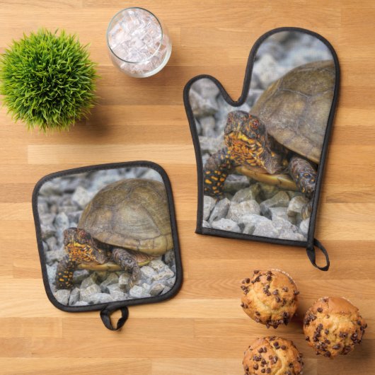 Box Turtle Ovenwant & Pannenlap Set (Top down)