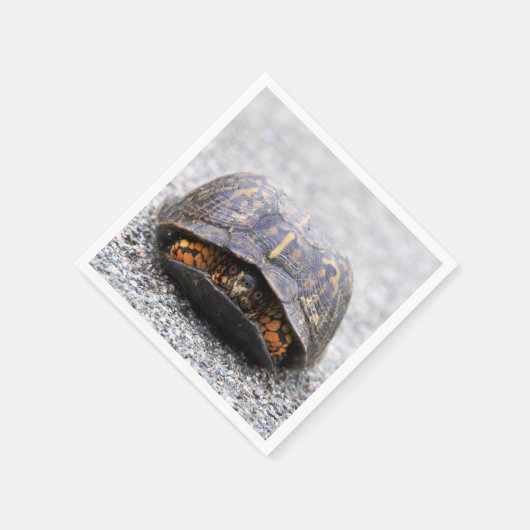 Box Turtle Servetten (Hoek)