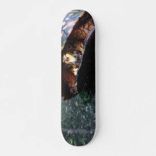 Box Turtle Skateboard
