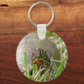 Box Turtle Sleutelhanger (Voorkant)