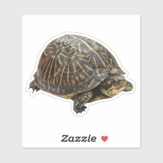 Box Turtle Sticker (Vel)