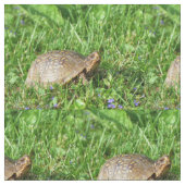 Box Turtle Stof (Close Up)